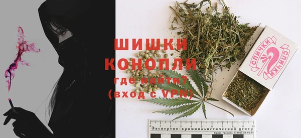 спайс Гусь-Хрустальный