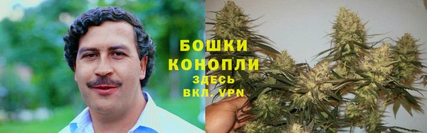 спайс Гусь-Хрустальный