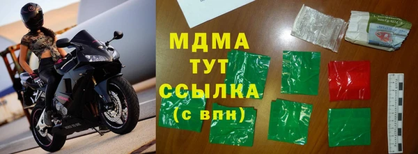 прущие грибы Гусев