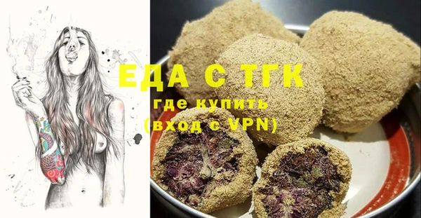 спайс Гусь-Хрустальный