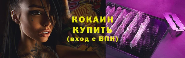 спайс Гусь-Хрустальный