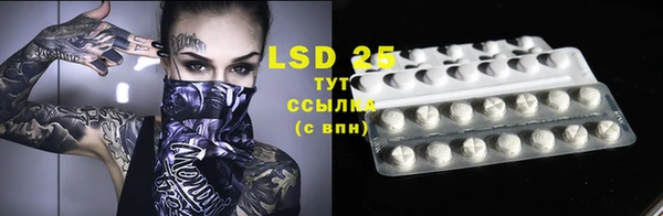 прущие грибы Гусев