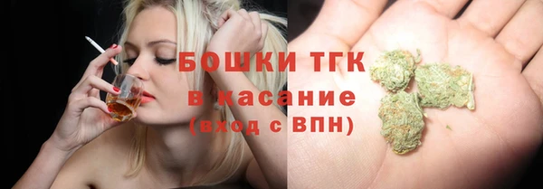 прущие грибы Гусев