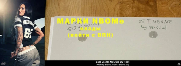 прущие грибы Гусев