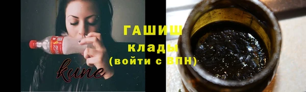 прущие грибы Гусев