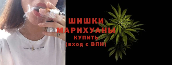 прущие грибы Гусев