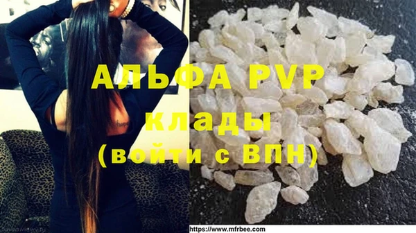 прущие грибы Гусев
