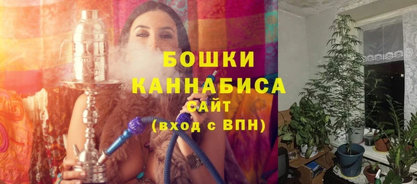 спайс Гусь-Хрустальный
