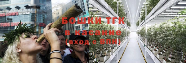 прущие грибы Гусев