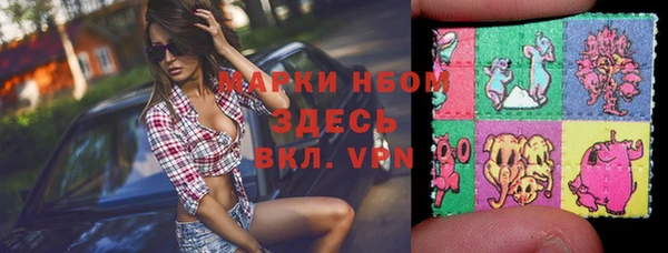 прущие грибы Гусев
