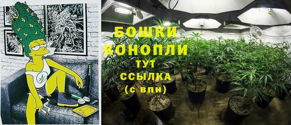 прущие грибы Гусев