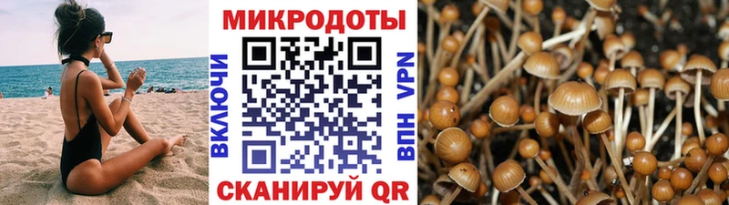 Псилоцибиновые грибы мухоморы  Лиски 